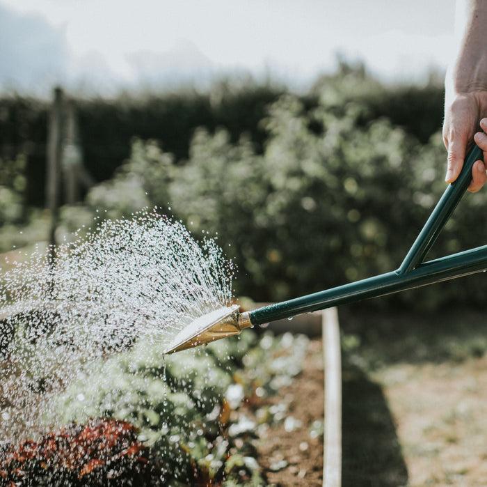 Haws The Warley Fall - Green - Starter Kit - Two Gallon Outdoor Metal Watering Can