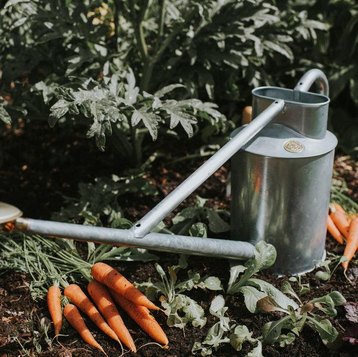 Haws The Warley Fall HDG - Two Gallon Galvanised Outdoor Metal Watering Can