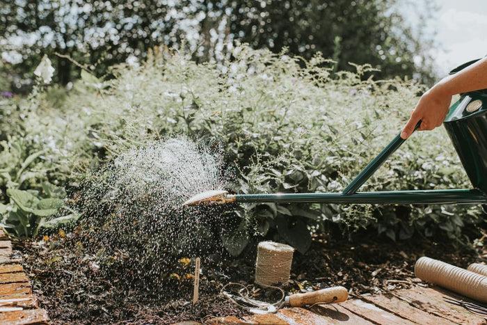 Haws The Warley Fall - Little And Large Outdoor Metal Watering Can Bundle