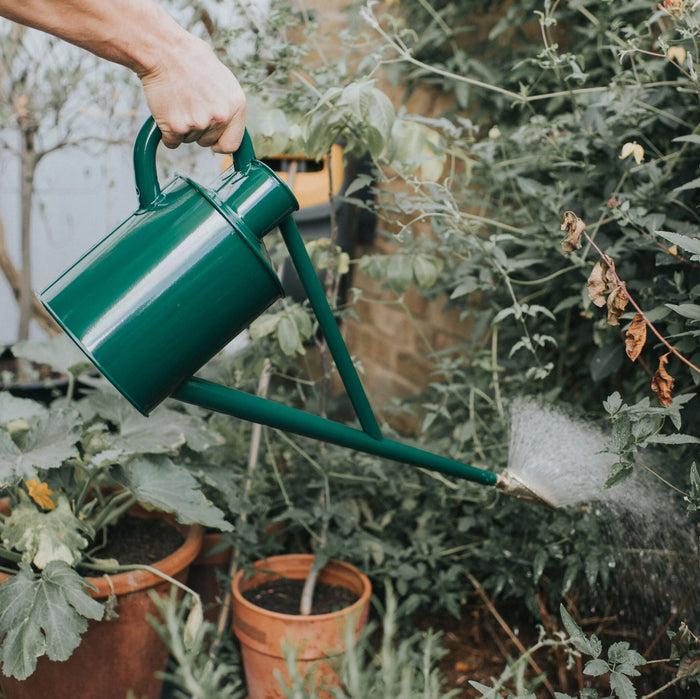 Haws The Warley Fall - One Gallon In Green Outdoor Metal Watering Can