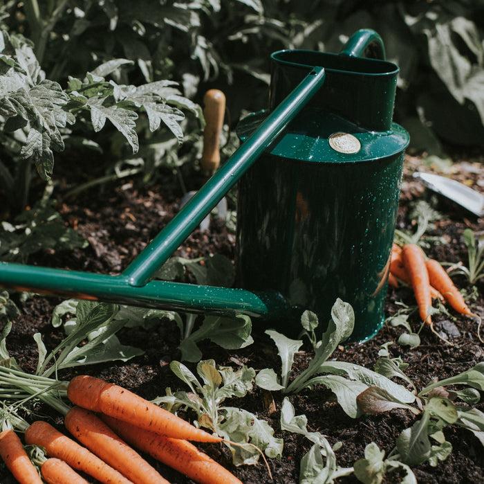 Haws The Warley Fall - Two Gallon In Green Outdoor Metal Watering Can