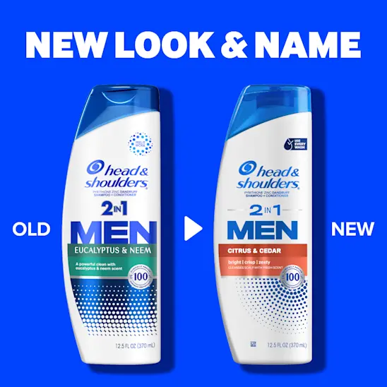 Head & Shoulders Mens 2 In 1 Dandruff Shampoo And Conditioner Citrus & Cedar