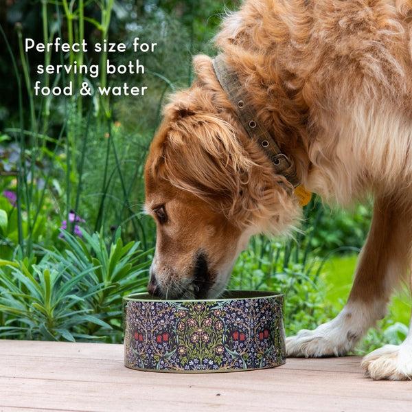 Heathcote & Ivory Canine Companion Ceramic Feeding Bowl