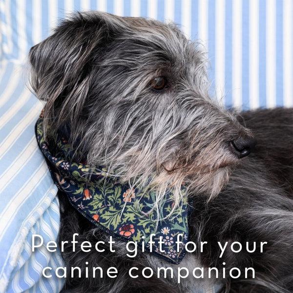 Heathcote & Ivory Canine Companion Dog Bandana And Hand Cream Gift