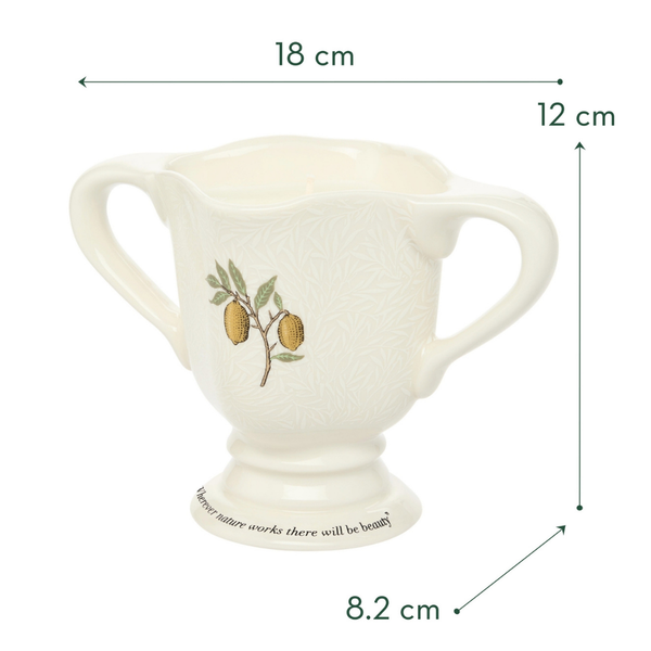 Heathcote & Ivory The Modern Homemaker Indoor & Outdoor Scented Candle