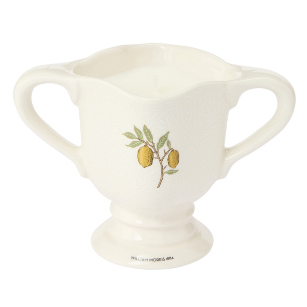 heathcote & ivory The Modern Homemaker Indoor & Outdoor Scented Candle