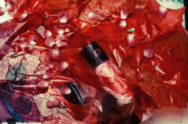 Heaven Scent A Lab On Fire Rose Rebelle Respawn EDT