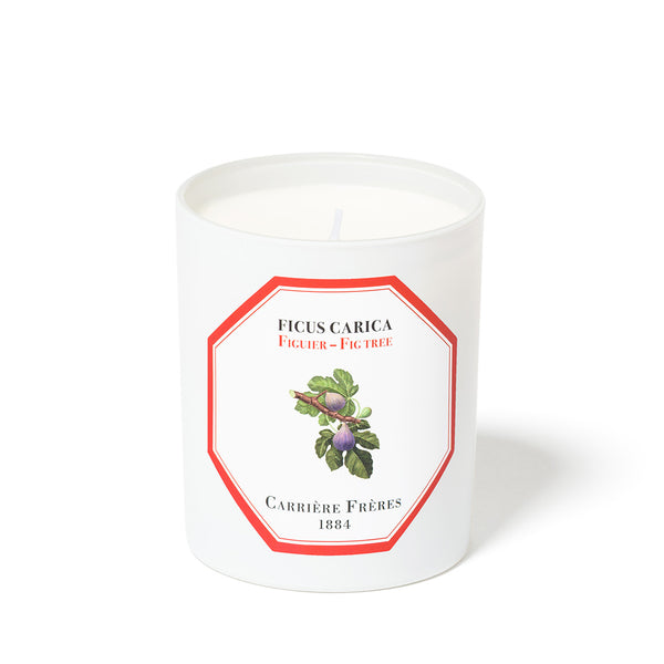 heaven scent Carrière Frères Fig Tree Scented Candle