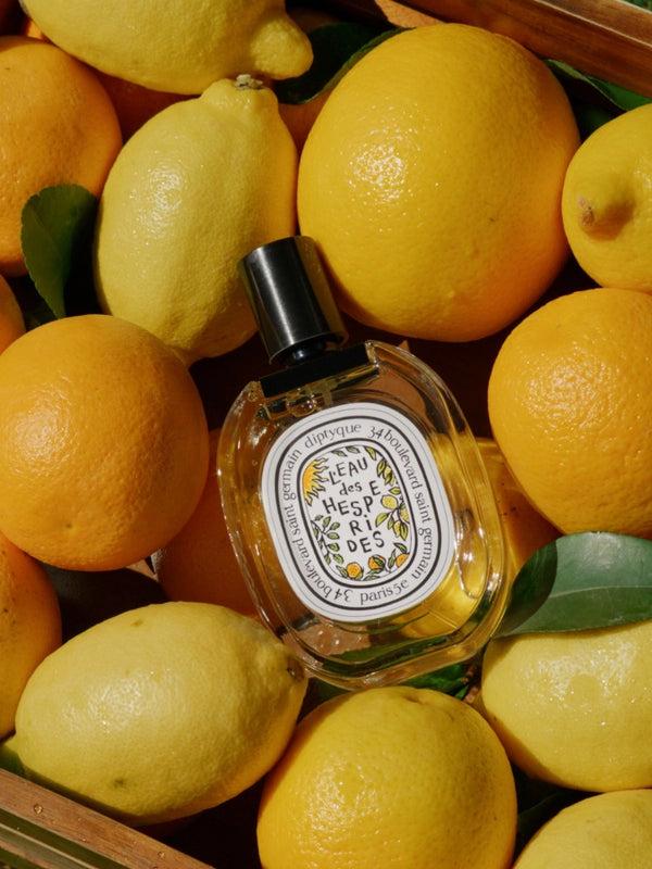 Heaven Scent Diptyque L’Eau Des Hespérides EdT Limited Edition