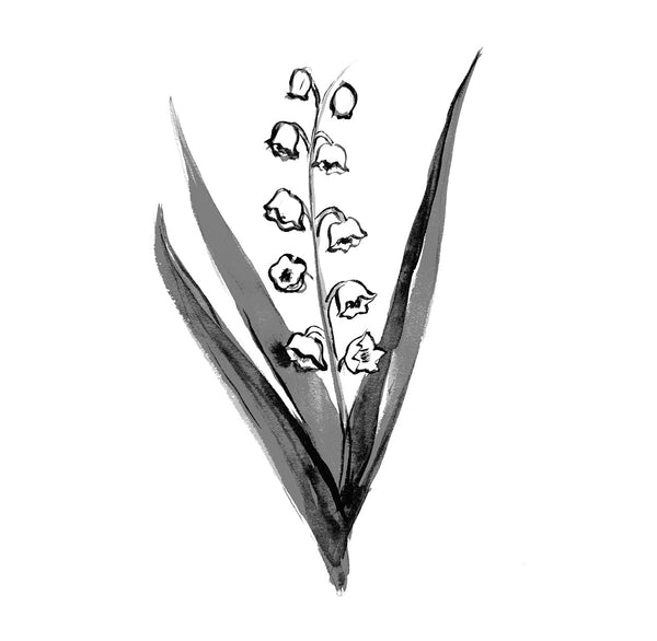 Heaven Scent Editions De Parfums Frederic Malle 1er Mai