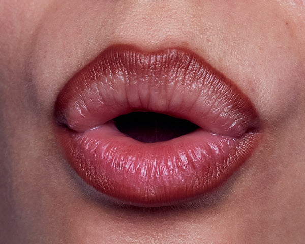 Heaven Scent Fara Homidi Smudge & Contour Lip Pencil – Riche