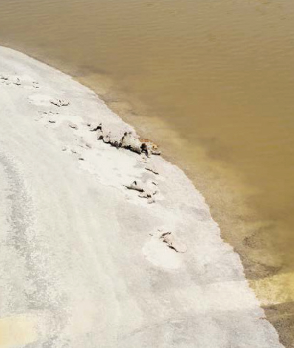 Heaven Scent Arpa Studios Arco Spettro