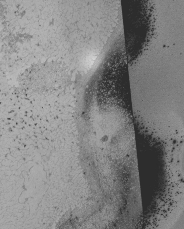 Heaven Scent Arpa Studios Ferragus