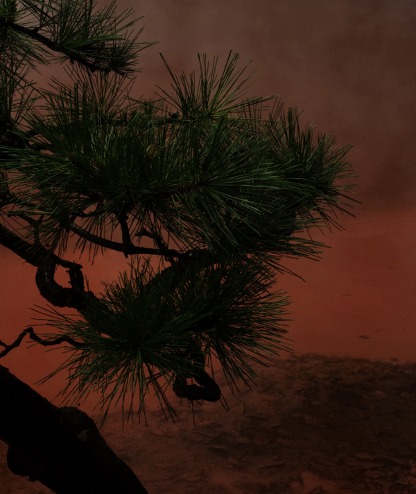 Heaven Scent Arpa Studios Fosforo