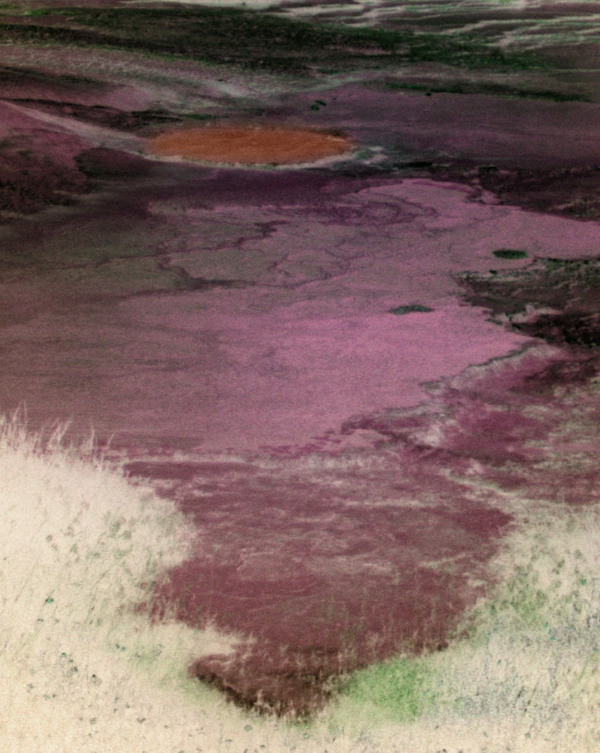 Heaven Scent Arpa Studios Hade