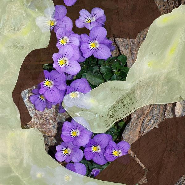 Heaven Scent Byredo 1996