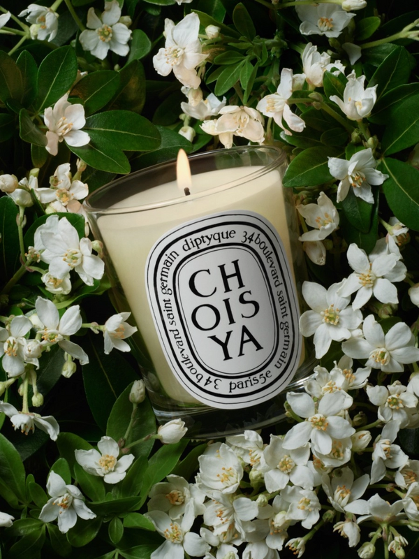 Heaven Scent Diptyque Choisya Duftlys