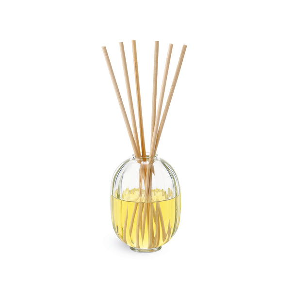 heaven scent Diptyque Citronnelle Diffuser