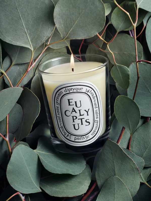 Heaven Scent Diptyque Eucalyptus Duftlys