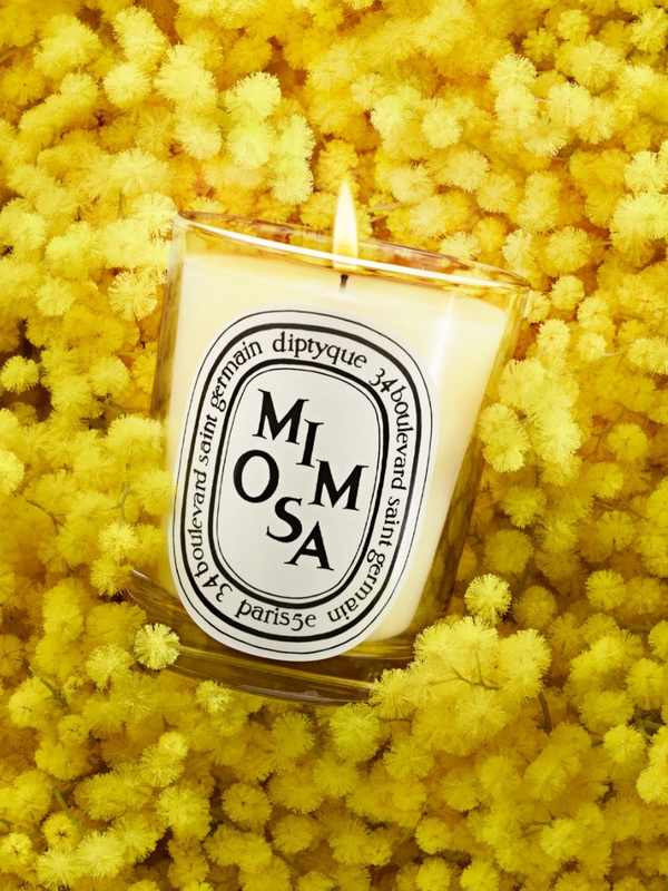 Heaven Scent Diptyque Mimosa Duftlys