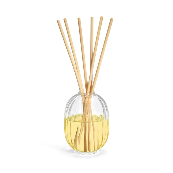 heaven scent Diptyque Sapin Reed Diffuser