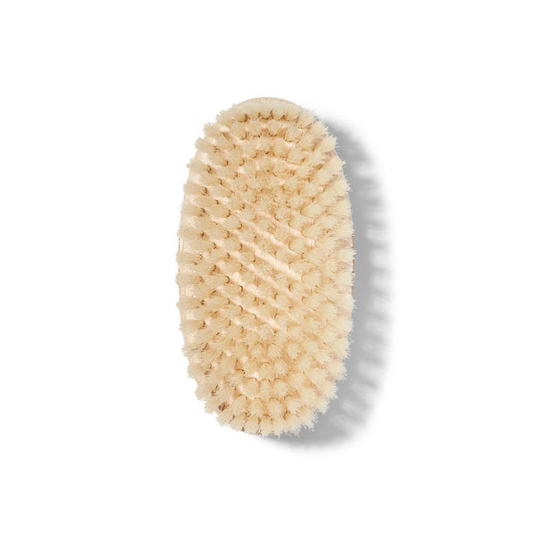 Heaven Scent Dr Barbara Sturm Body Brush