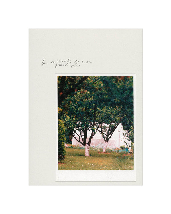 Heaven Scent ORMAIE PARIS 8m2