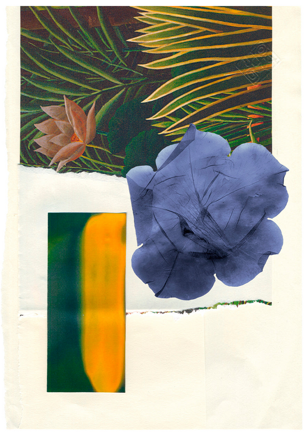 Heaven Scent ORMAIE PARIS L'Ivrée Bleu