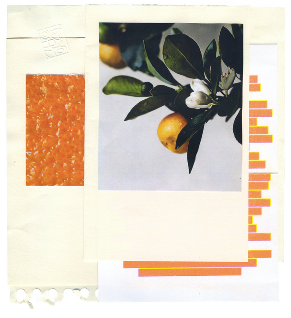 Heaven Scent ORMAIE PARIS Les Brumes