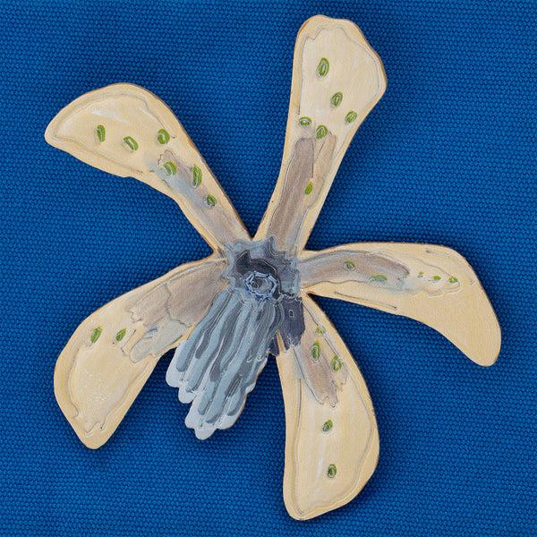 Heimat Atlantica White Orchid Wallet Blue L SMALL LEATHER GOODS