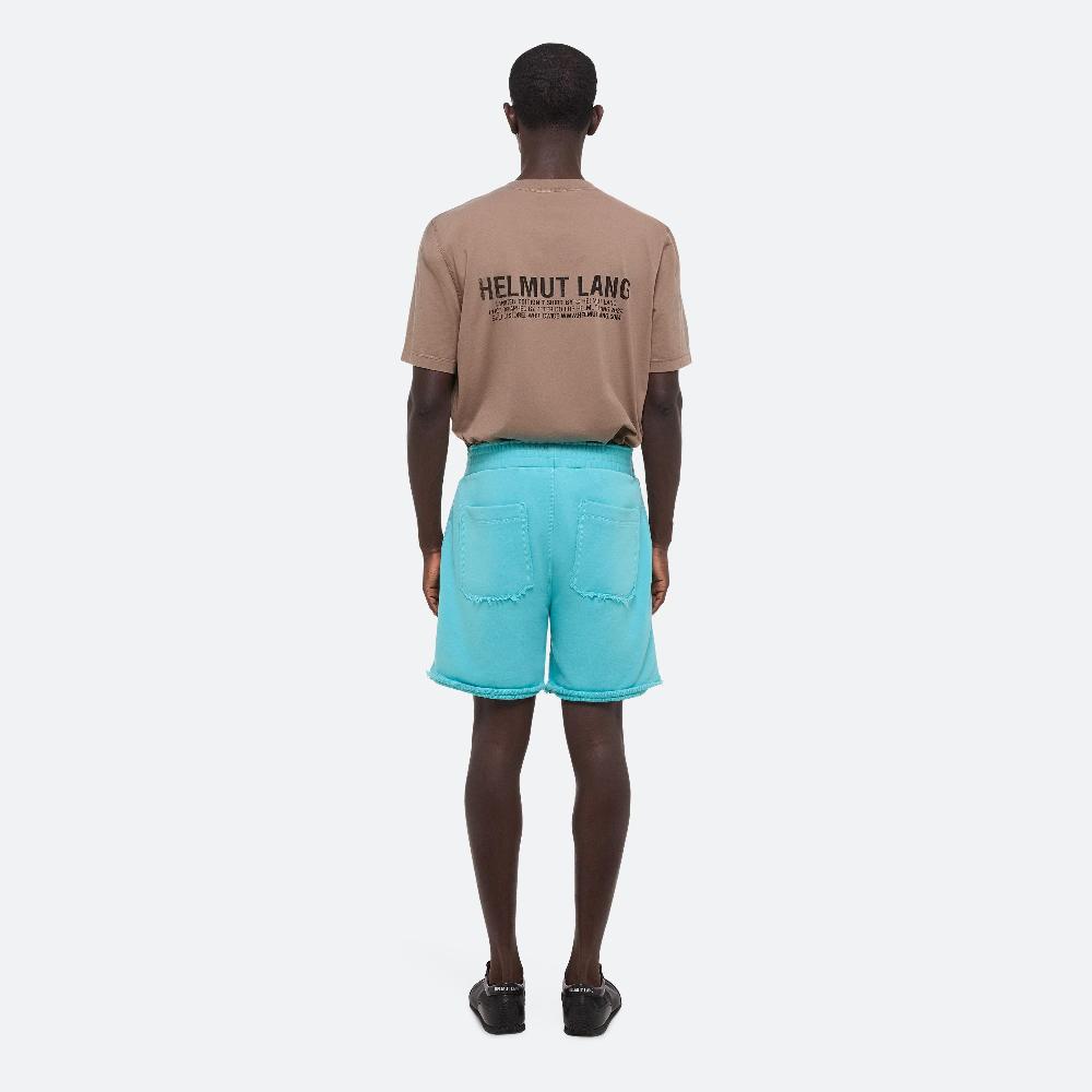 Helmut Lang Postcard Shorts Teal