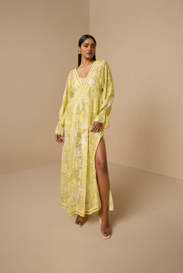 Hemant & Nandita Fiza Kaftan