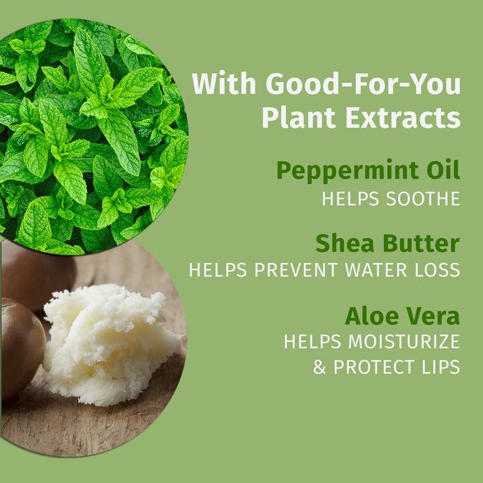 Hempz Couture Pink Peppermint Meringue Lip Balm