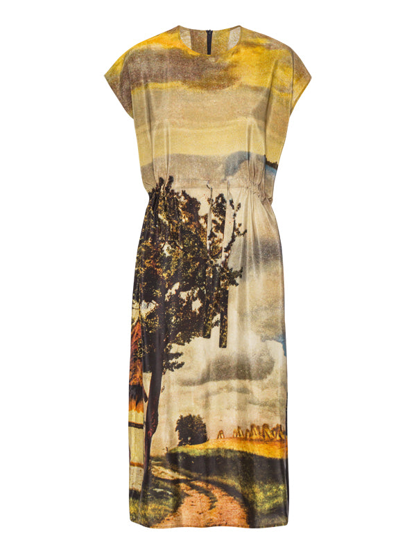 henrik vibskov Simple Dress - Digital Printed Gots G