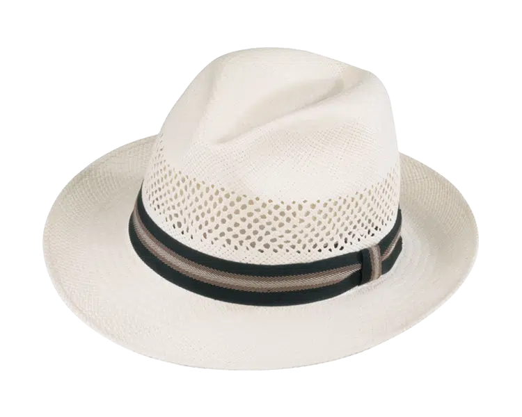 Henschel Aventura Panama Hat