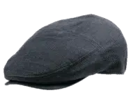 Henschel Burnaby Ivy Cap