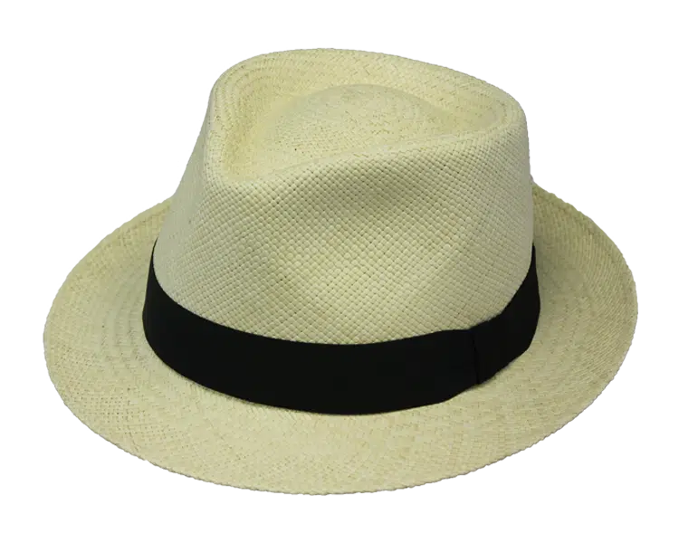 Henschel Deltona Panama Hat