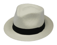 Henschel Deltona Panama Hat