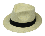 Henschel Deltona Panama Hat