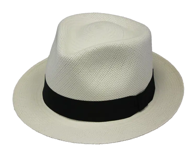 henschel Deltona Panama Hat