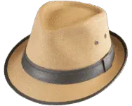 Henschel Dobson Fedora Hat