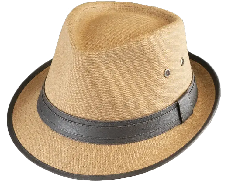 henschel Dobson Fedora Hat