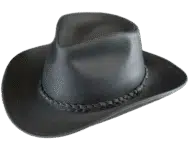 Henschel Farmingdale Leather Walker Hat