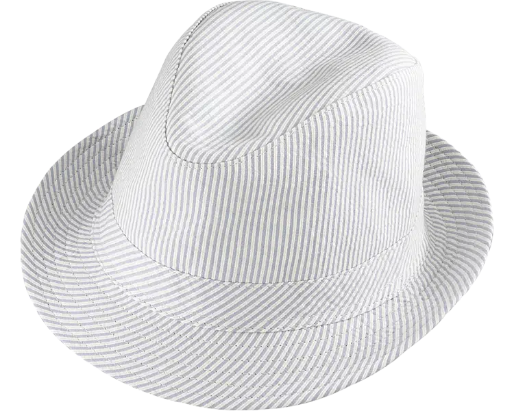 Henschel Galloway Fedora Hat