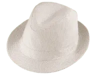 Henschel Galloway Fedora Hat