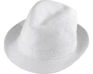 Henschel Galloway Fedora Hat