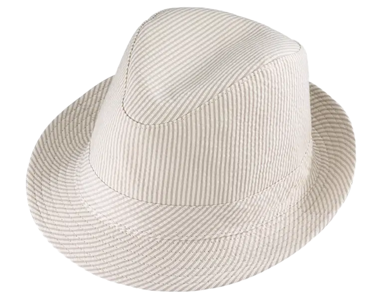 henschel Galloway Fedora Hat
