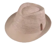 Henschel Groveland Fedora