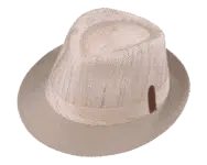 Henschel Groveland Fedora