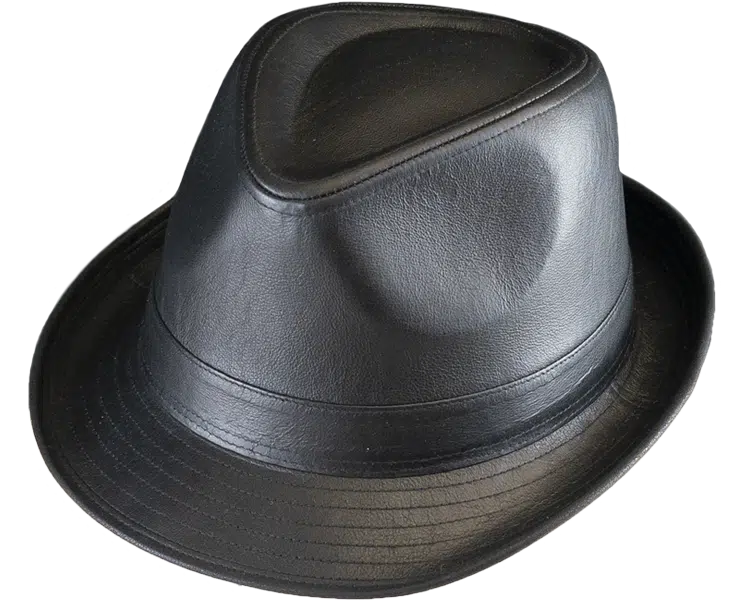 Henschel High Roller Leather Fedora